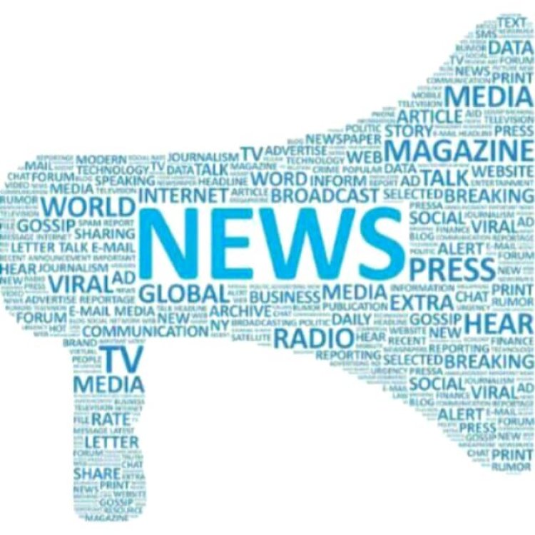 போலி பத்திரிகையாளர்கள்