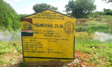 புதுக்கோட்டை ஊராட்சி ஒன்றியத்திற்குட்பட்ட வடவாளம் கிராம ஊராட்சியில் உள்ள பல குளங்களில், பல லட்சங்களில் மரக்கன்றுகள் ஊன்றப்பட்டதாக அடையாளக்கல் நட்டு வருகின்றார்களே! மரக்கன்றுகள் நட்டுள்ளனரா? இல்லை நடபோகின்றனரா?