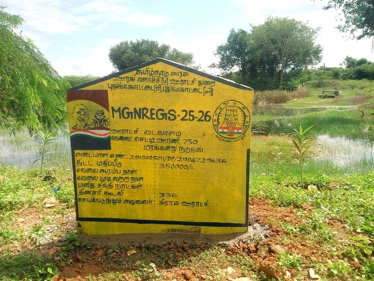 புதுக்கோட்டை ஊராட்சி ஒன்றியத்திற்குட்பட்ட வடவாளம் கிராம ஊராட்சியில் உள்ள பல குளங்களில், பல லட்சங்களில் மரக்கன்றுகள் ஊன்றப்பட்டதாக அடையாளக்கல் நட்டு வருகின்றார்களே! மரக்கன்றுகள் நட்டுள்ளனரா? இல்லை நடபோகின்றனரா?