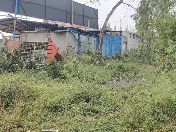 உணவு பாதுகாப்பு துறை அதிகாரிகளுக்கு மண்டையில் எதும் ஏறுமா, உங்கள் துறையால் நடவடிக்கை இல்லாமல், துர்நாற்றம் மற்றும் கிருமி தொற்று உண்டாகிறது என்று சொன்னால், ஏன் நடவடிக்கை எடுக்க ஒரு மாத காலம் தாமதம், உணவு பாதுகாப்புத்துறை அலுவலர்களுக்கு சம்பந்தப்பட்ட இடத்திலிருந்து லஞ்சமாக ரொக்கம் கட்டாக வந்துள்ளதா?