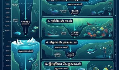 உலகின் ஆழமான கடல்கள் – உங்களை ஆச்சரியப்படுத்தும் தகவல்கள்! 