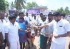 விஜயபாஸ்கருக்கு செக் வைத்த விஜய்.. முகமது பர்வாஸுக்கு ஆதரவாக நின்ற தலைமை.. எல்லாம் ஓவர்!